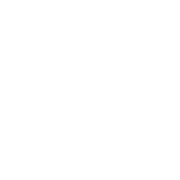 Lire la vidéo